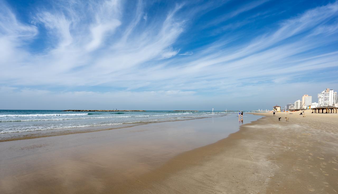 Mr Allenby By Tlv2Go تل أبيب المظهر الخارجي الصورة